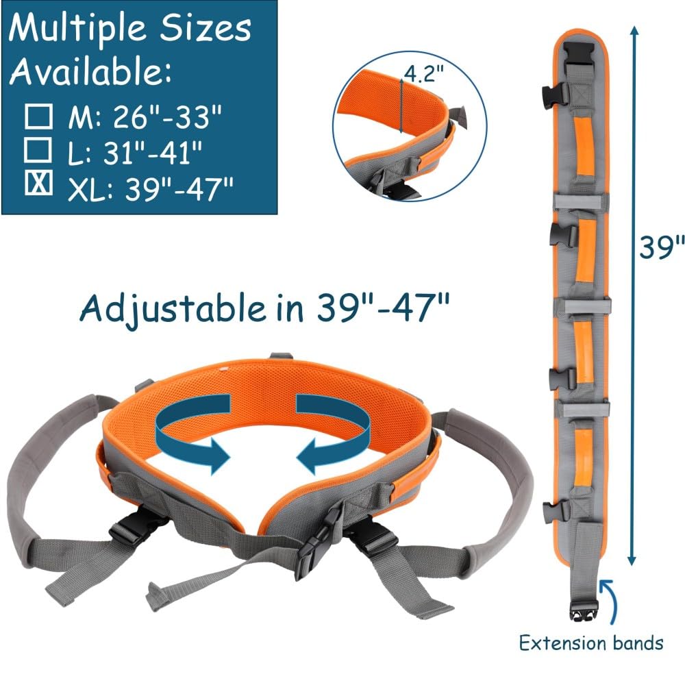 King Mills Transfer Belt with Handles, Physical Therapy Safety Belt,  XL | Fits Waist 39-47 in, for Elderly Walking & Transfer Assistance, Gait Training in Physical Therapy or Daily Life