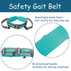 King Mills Transfer Belt with Handles, Physical Therapy Safety Belt,  XL | Fits Waist 39-47 in, for Elderly Walking & Transfer Assistance, Gait Training in Physical Therapy or Daily Life